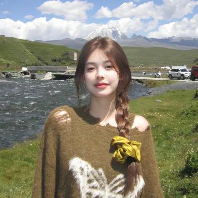 全面搜寻圣诞狗狗海报