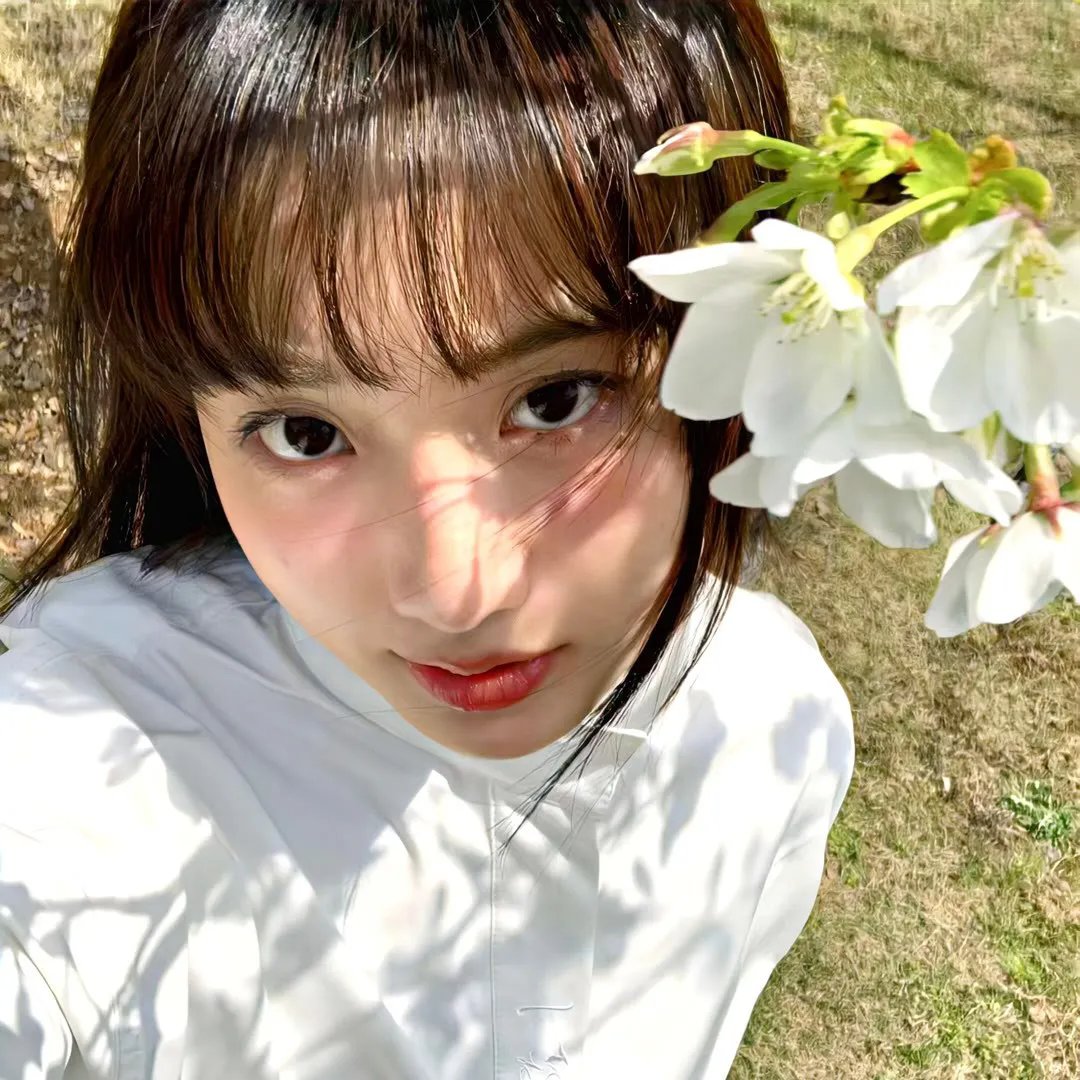 狐狸猎手海报