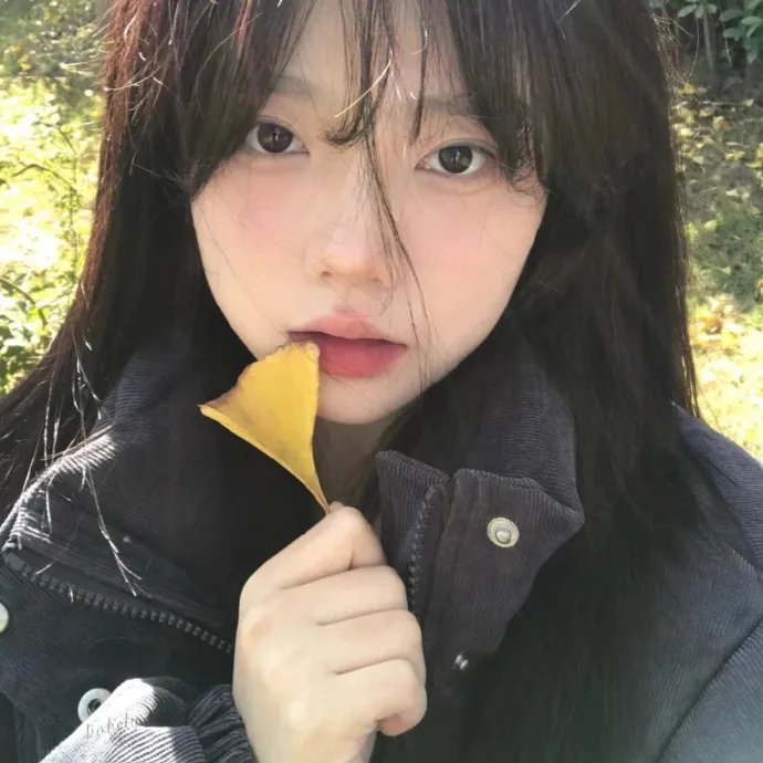 隐士海报